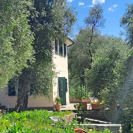 Casa Della Lettera In Con Giardino