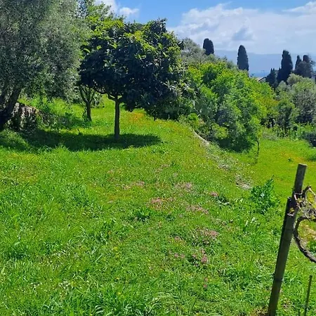 דירה Casa Della Lettera In Con Giardino *