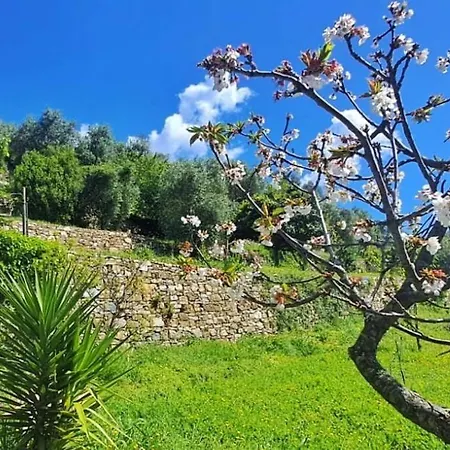 Apartment Casa Della Lettera In Con Giardino